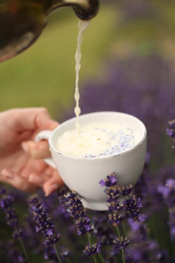 Lavender Valley Perekrestnoye Екстер'єр фото