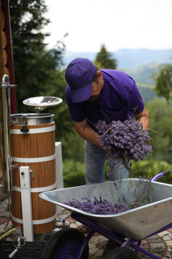 Lavender Valley Perekrestnoye Екстер'єр фото
